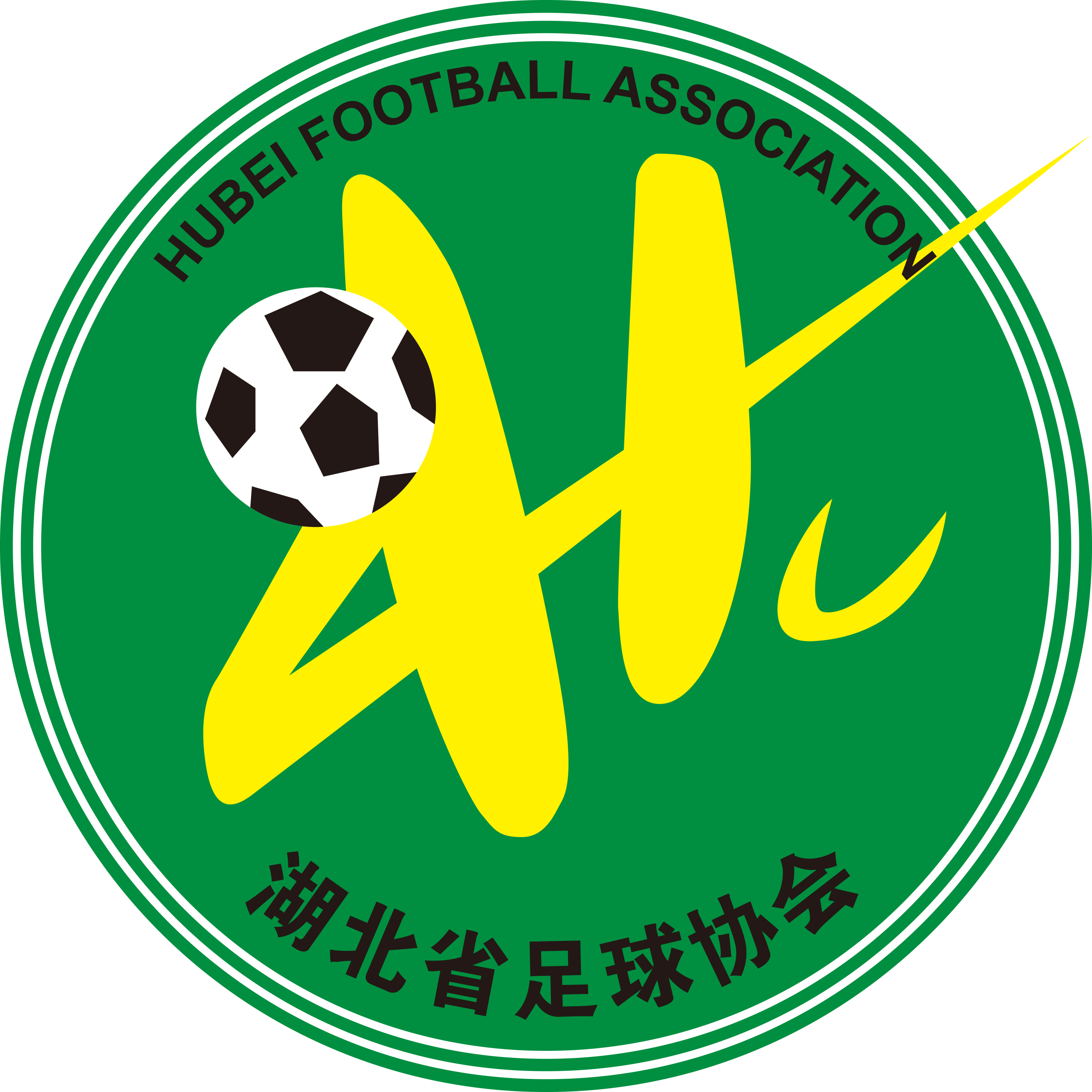 https://img.mssjiankang.com/img/football/team/0a0836a320aa027e1f60059a24ab9e09.png